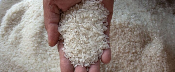 HET Beras Medium Resmi Naik, Jadi Rp13.500 per Kilogram